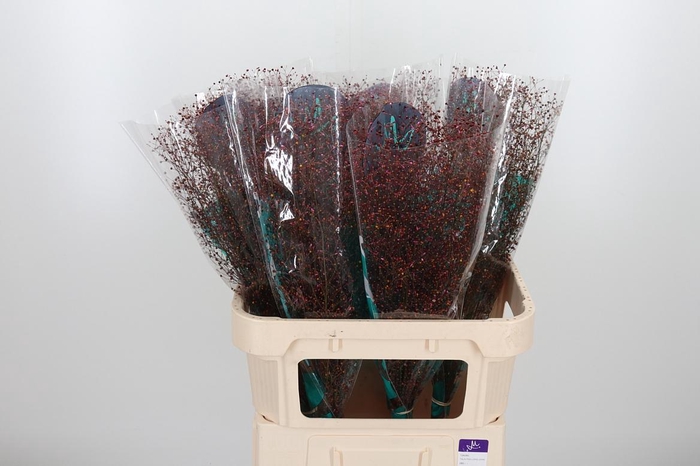 <h4>Talin Pan Long John</h4>