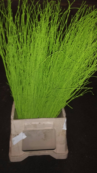 AF Berry Branch x3 L76cm Green