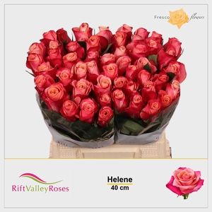 R GR HELENE