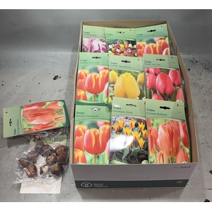 BLOEMBOL TULIPA