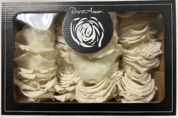 Pr 1.5 Petals 100gr Whi04