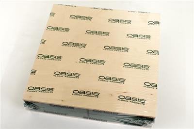 <h4>OASIS 11-00049 WORKPLATE 30X30</h4>
