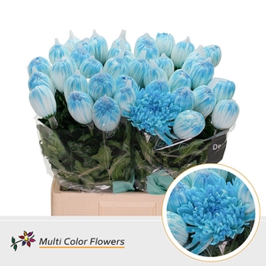 Chr G Antonov Blauw Licht