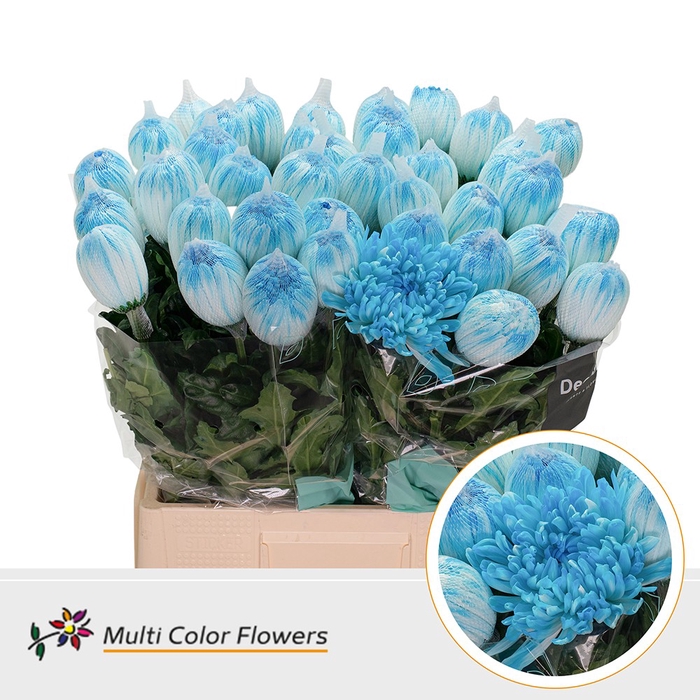 <h4>Chr G Antonov Blauw Licht</h4>