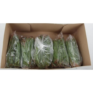 PINUS PINASTER NEEDLE 500GR