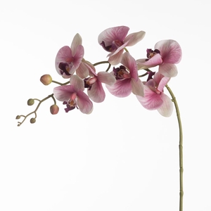 Af Phalaenopsis X9 L106cm Pink