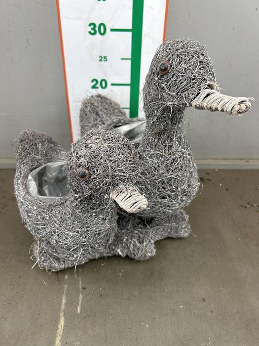 WILLOW DUCK TWINS H35XD30