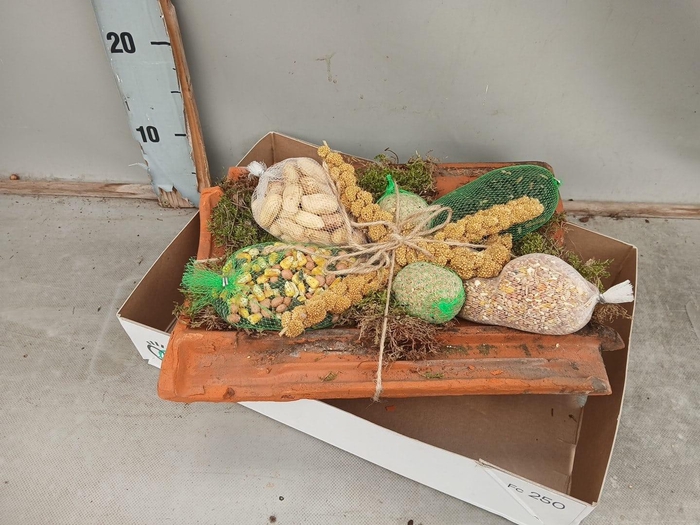 Dakpan met vogelvoer