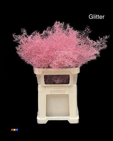 <h4>Limonium Pink + Glitter Bio</h4>