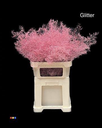 <h4>Limonium Pink + Glitter Bio</h4>