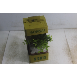 BONSAI JUNIOR VASO PLASTICO 1.1L