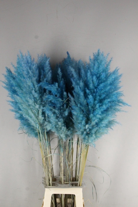 <h4>DF Pampas 115cm Turquoise</h4>