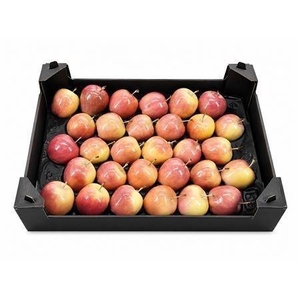 WAX APPEL H%