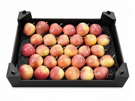 <h4>WAX APPEL H%</h4>