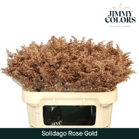 <h4>Solidago L70 Metallic Rose gold</h4>