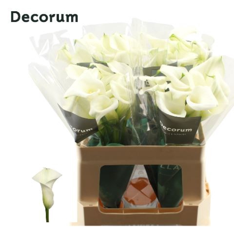 <h4>Calla Crystal Blush</h4>