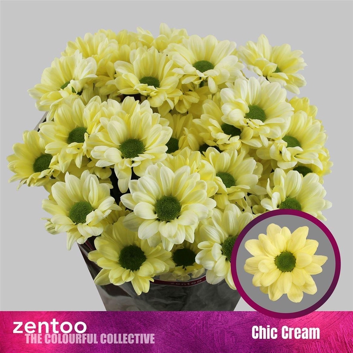 <h4>Chr T Chic Cream</h4>