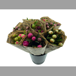 Mono Pioenen x5 Mix in emmer in broodpapier