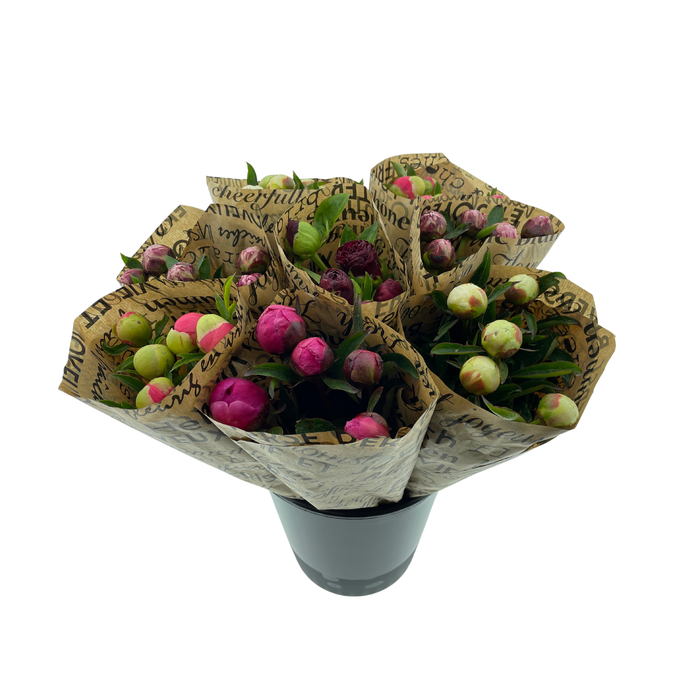 <h4>Mono Pioenen x5 Mix in emmer in broodpapier</h4>