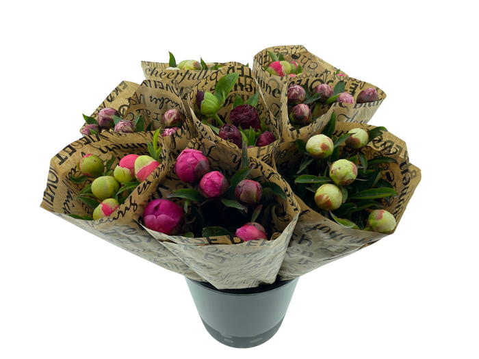 <h4>Mono Pioenen x5 Mix in emmer in broodpapier</h4>