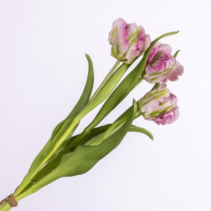 <h4>Tulip Bundle Lavender BK770017LAV</h4>