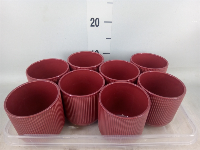<h4>Pot   ...Keramische H%</h4>