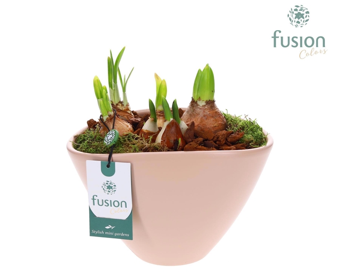 <h4>Pot keramiek ovaal Large blush pink met Bollen</h4>