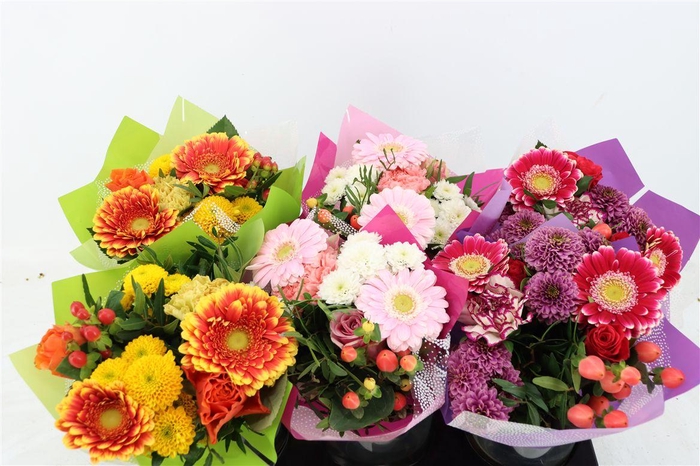 <h4>Bqt Sixpack 11st</h4>