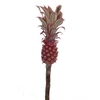 ANANAS MIDDEL