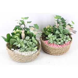 arr2 PL - Jute etagere 338/3 - roze/wit