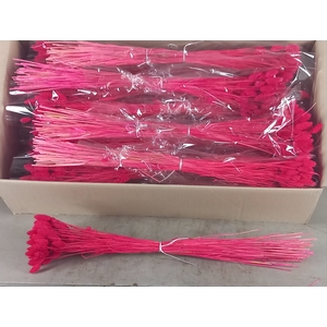 DF Phalaris Bs Erica 100g