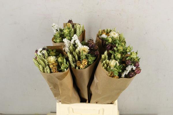 <h4>Df Bouquet 50cm Dutch Natural</h4>