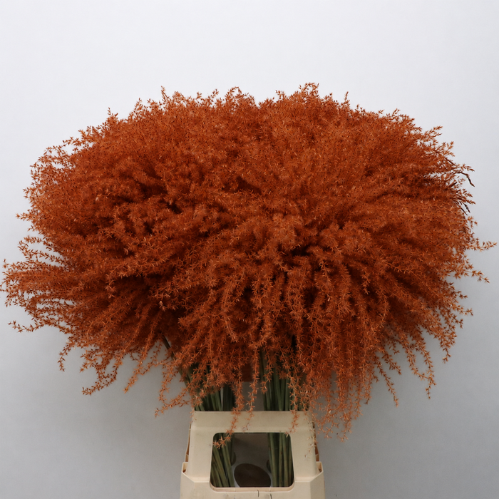 <h4>Dried Stipa Feather Chocolate</h4>