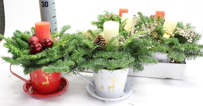 <h4>ARR KERST</h4>