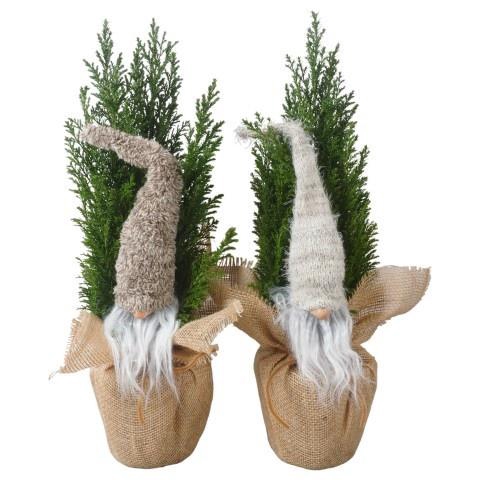 <h4>Cham Law Ellwoodii (PTK25211) Jute + Deco</h4>