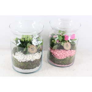 arr2 PL - Glas bose hoog - roze/wit