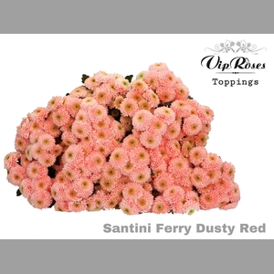 CHR S FERRY DUSTY RED