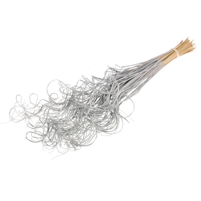 <h4>Curly ting ting (palm) 100pc SB grey misty</h4>