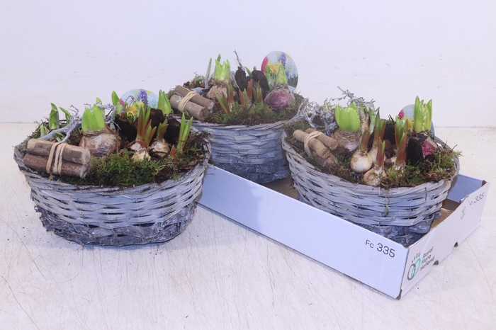 <h4>ARR BOL KNOLGEWAS</h4>