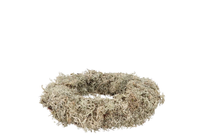 Nature Wreath Dry White Moss 20cm