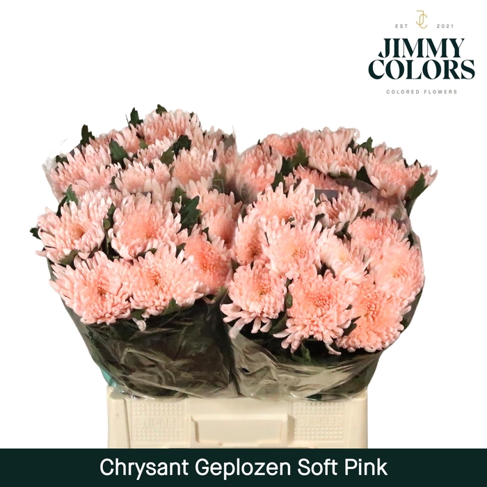 <h4>Chr G Topspin Soft pink</h4>