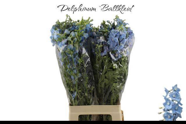 <h4>DELPH EN BALLKLEID</h4>