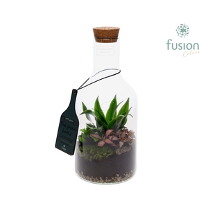 Green Bottle Fles Small met Arrangement