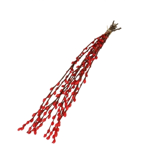 Dried flowers Willow catkins 70cm