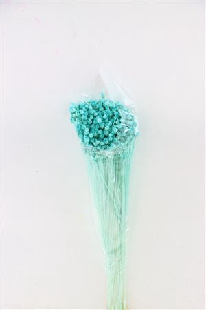 <h4>Pres Jazilda Aqua Blue Bunch</h4>