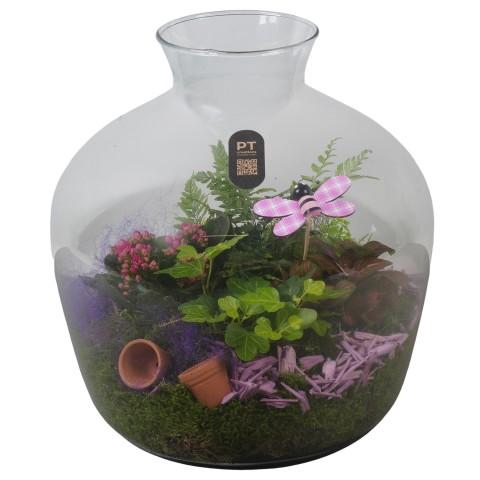 <h4>PTIG2639 Arrangementen kamerplanten</h4>