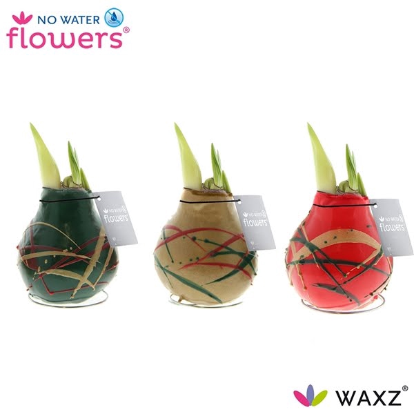 <h4>No Water Flowers Waxz® Art Munch</h4>