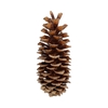Deco Pinecone Sugar Scented Amber Slv L35