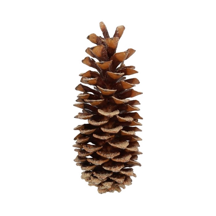<h4>Deco Pinecone Sugar Scented Amber Slv L35</h4>