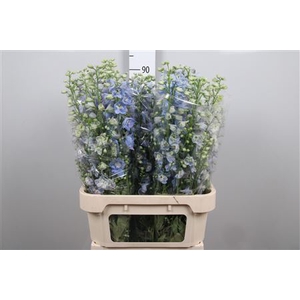 Delph Du Guard Lavender